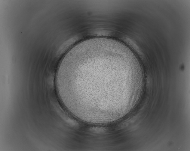 X0000089460537200707061305