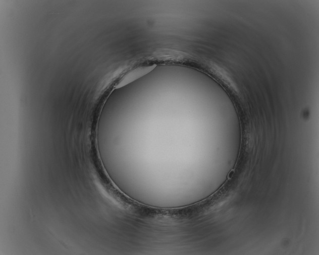 X0000089460538200707061305