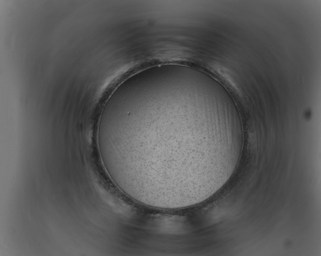 X0000089460539200707061305