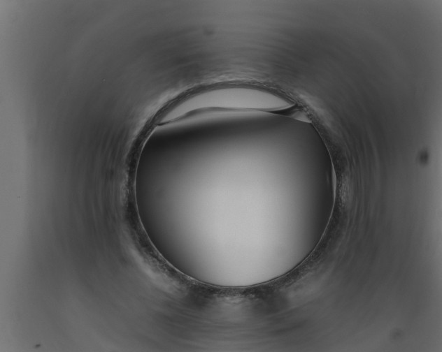X0000089460540200707061305