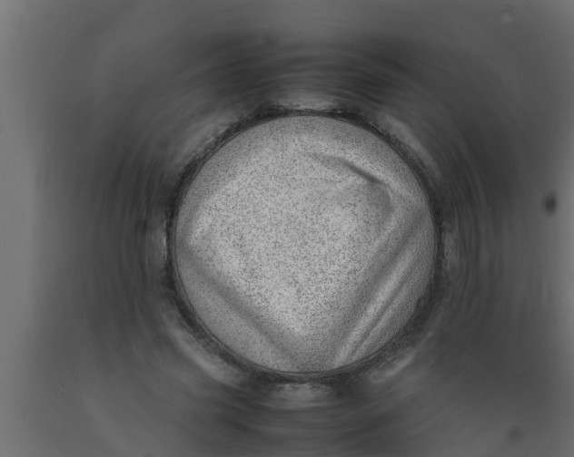 X0000089460541200707061305