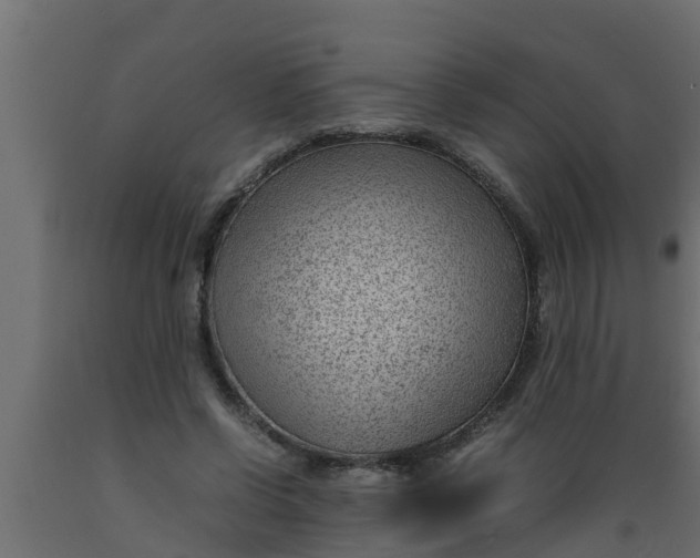 X0000089460542200707061305
