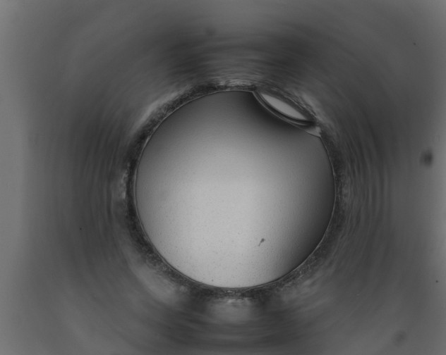 X0000089460543200707061305