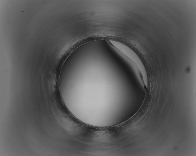 X0000089460544200707061305