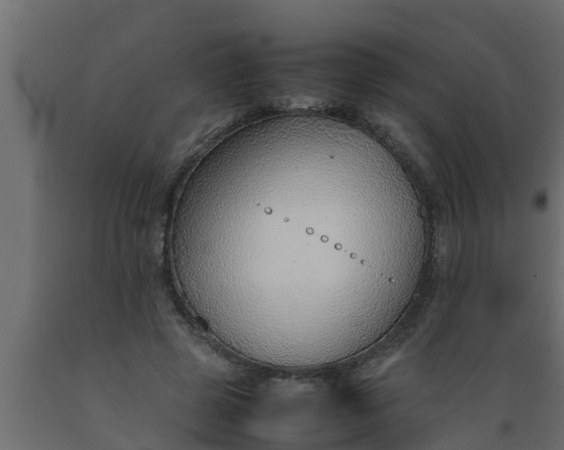X0000089460545200707061305