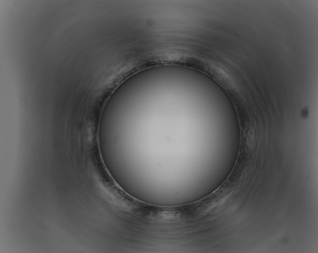 X0000089460546200707061305