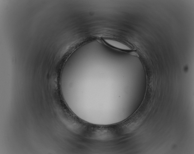 X0000089460547200707061305