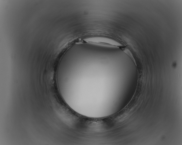 X0000089460548200707061305