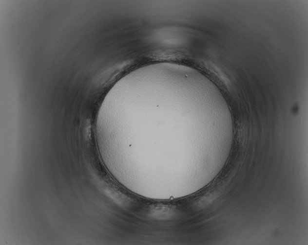 X0000089460549200707061305