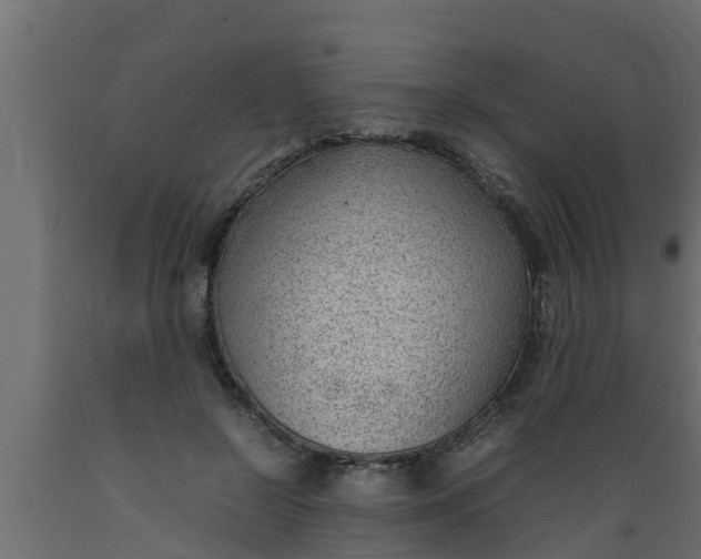 X0000089460550200707061305