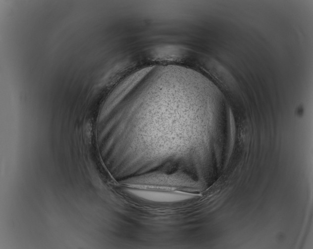 X0000089460551200707061305