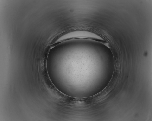 X0000089460552200707061305
