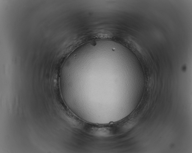 X0000089460553200707061305