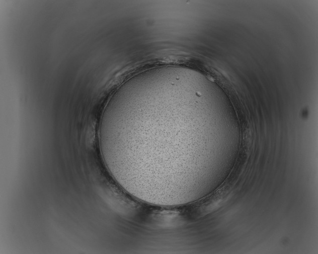 X0000089460554200707061305