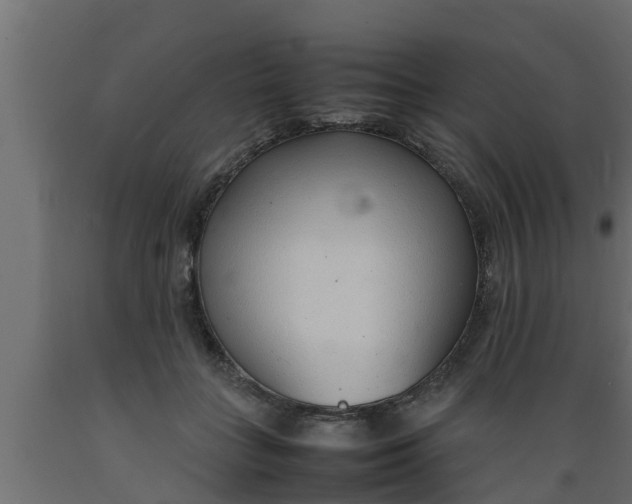 X0000089460555200707061305