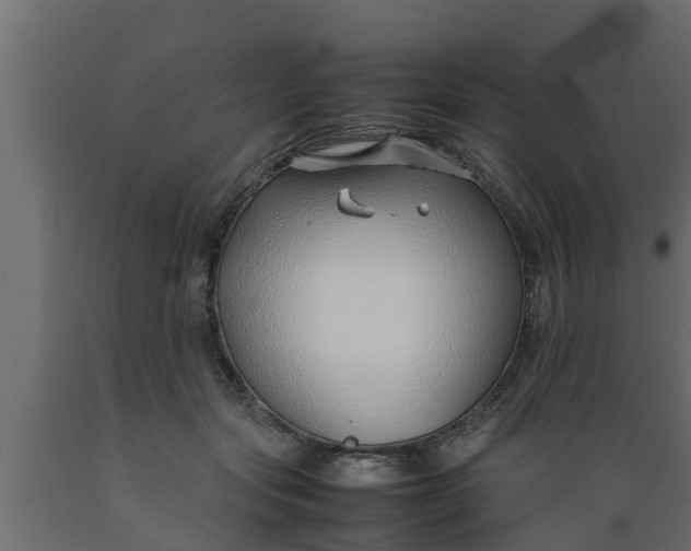 X0000089460557200707061305