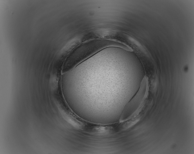 X0000089460558200707061305
