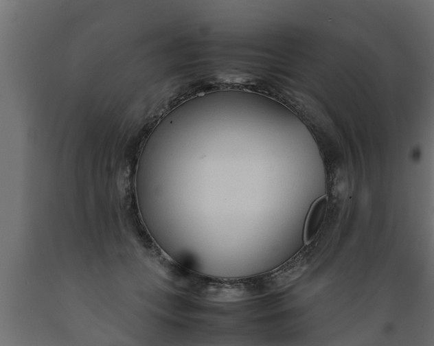 X0000089460559200707061305