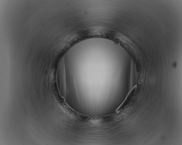X0000089460560200707061305