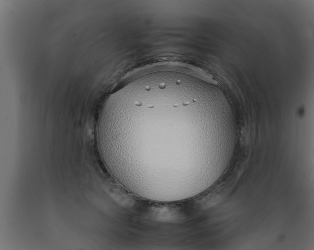 X0000089460561200707061305