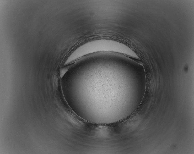X0000089460562200707061305