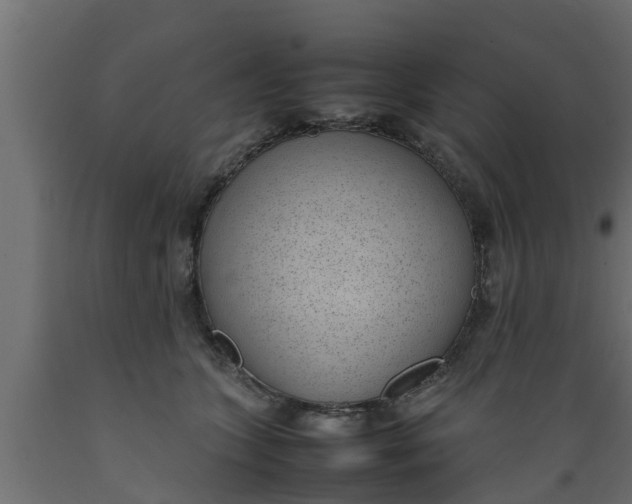 X0000089460563200707061305