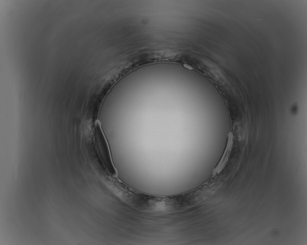 X0000089460564200707061305