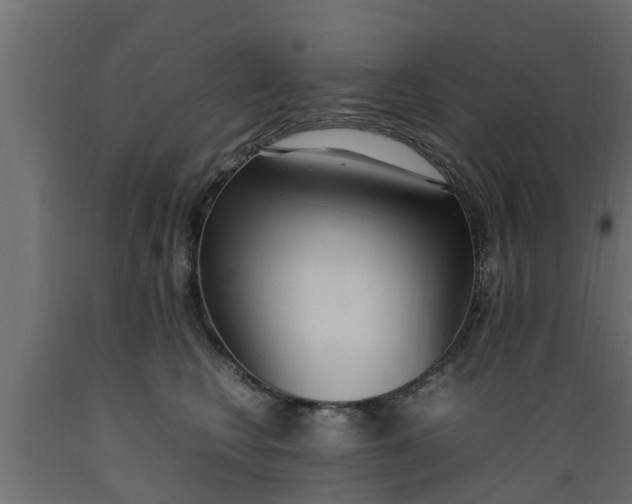 X0000089460566200707061305