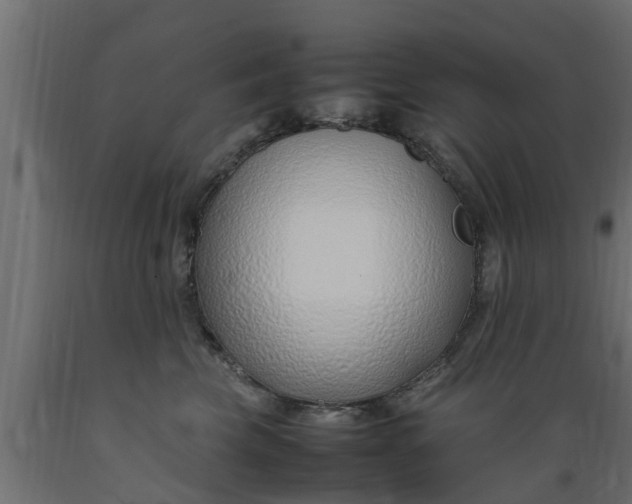 X0000089460569200707061305