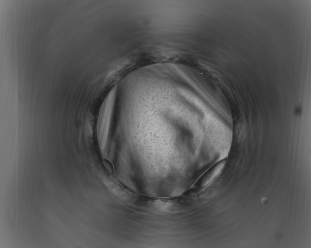 X0000089460570200707061305