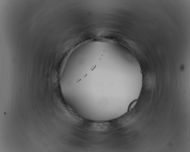 X0000089460571200707061305
