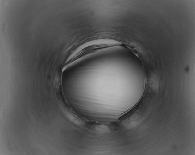X0000089460572200707061305
