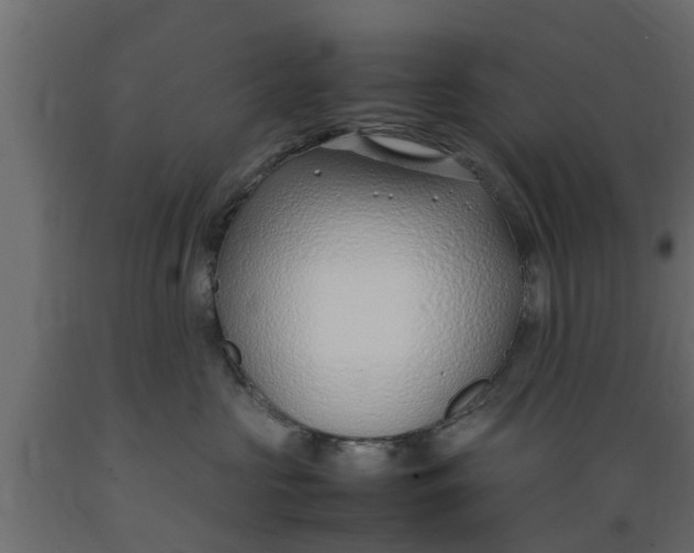 X0000089460573200707061305
