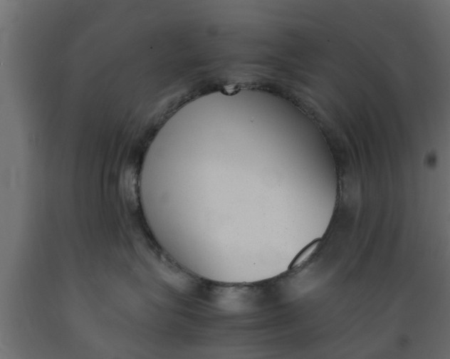 X0000089460575200707061305