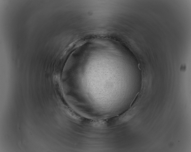 X0000089460576200707061306