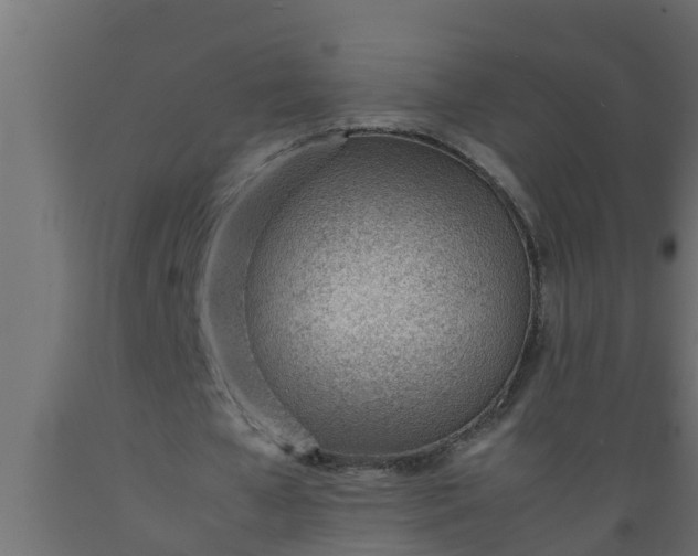 X0000089460577200707061305