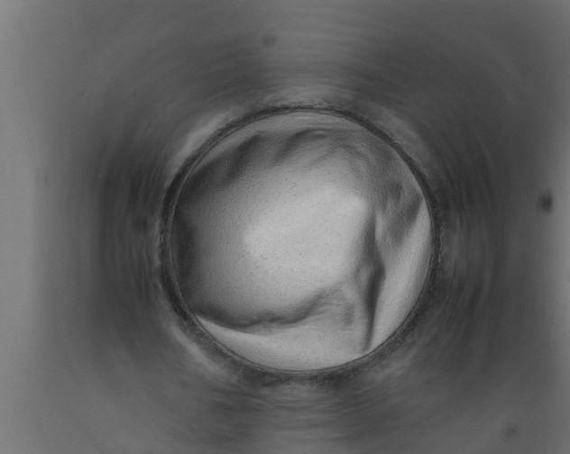 X0000089460578200707061305