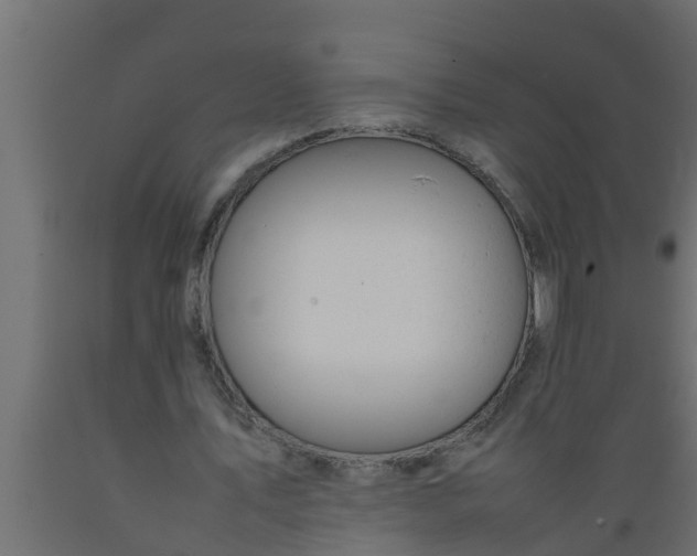 X0000089460579200707061305