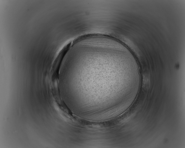 X0000089460580200707061305