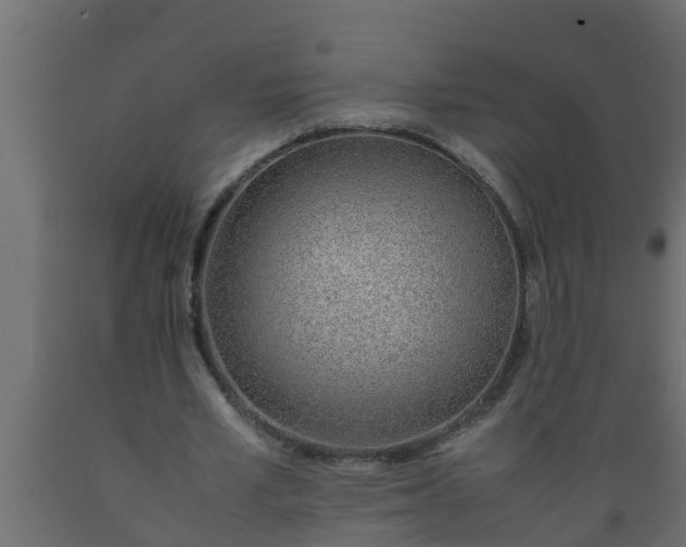 X0000089460581200707061305