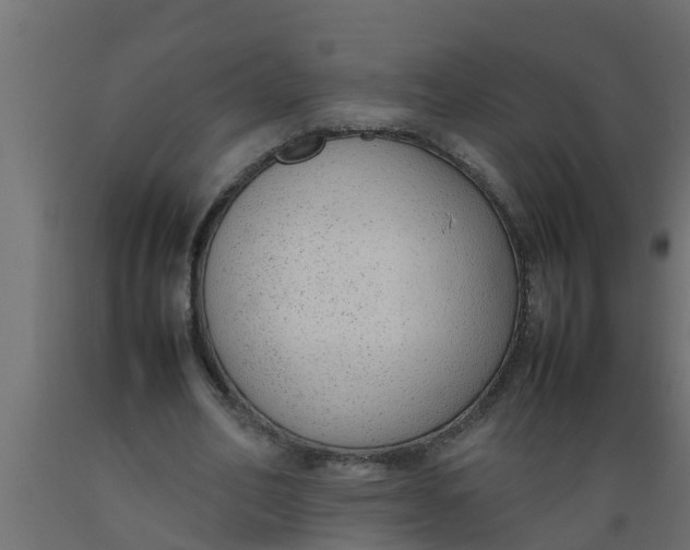 X0000089460582200707061305