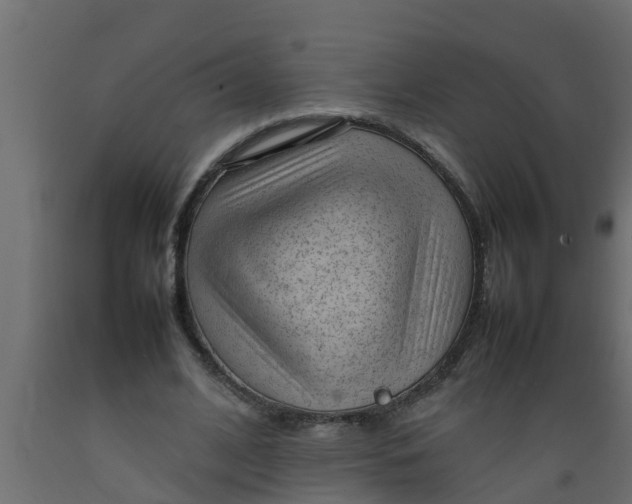 X0000089460584200707061305