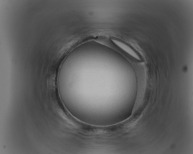 X0000089460585200707061305