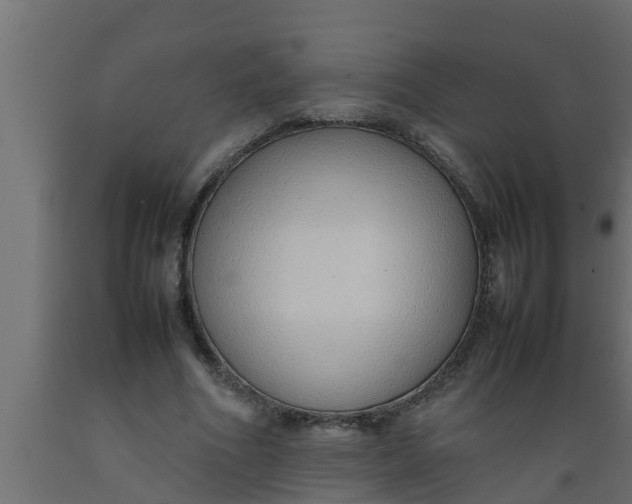X0000089460586200707061305