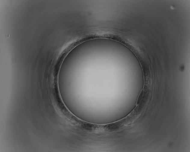 X0000089460587200707061305