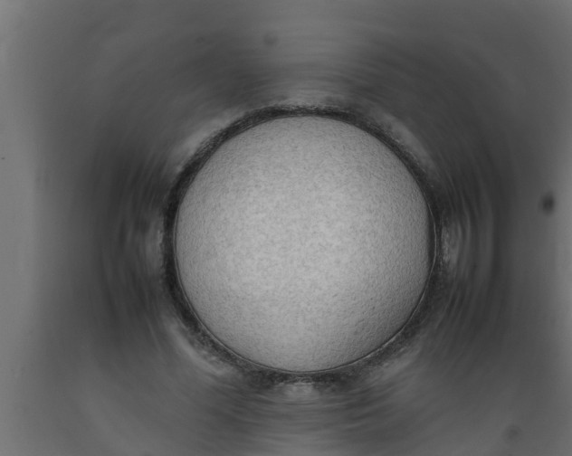 X0000089460588200707061305