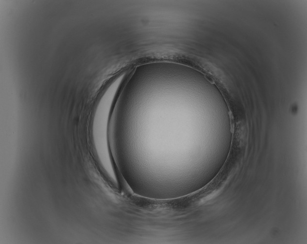 X0000089460589200707061305