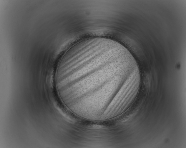 X0000089460590200707061305