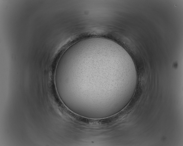 X0000089460591200707061305