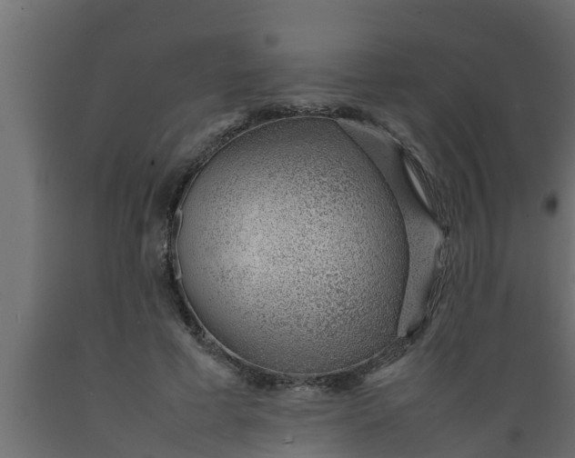 X0000089460593200707061305